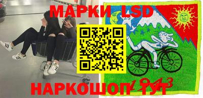 гидропоника Дубна