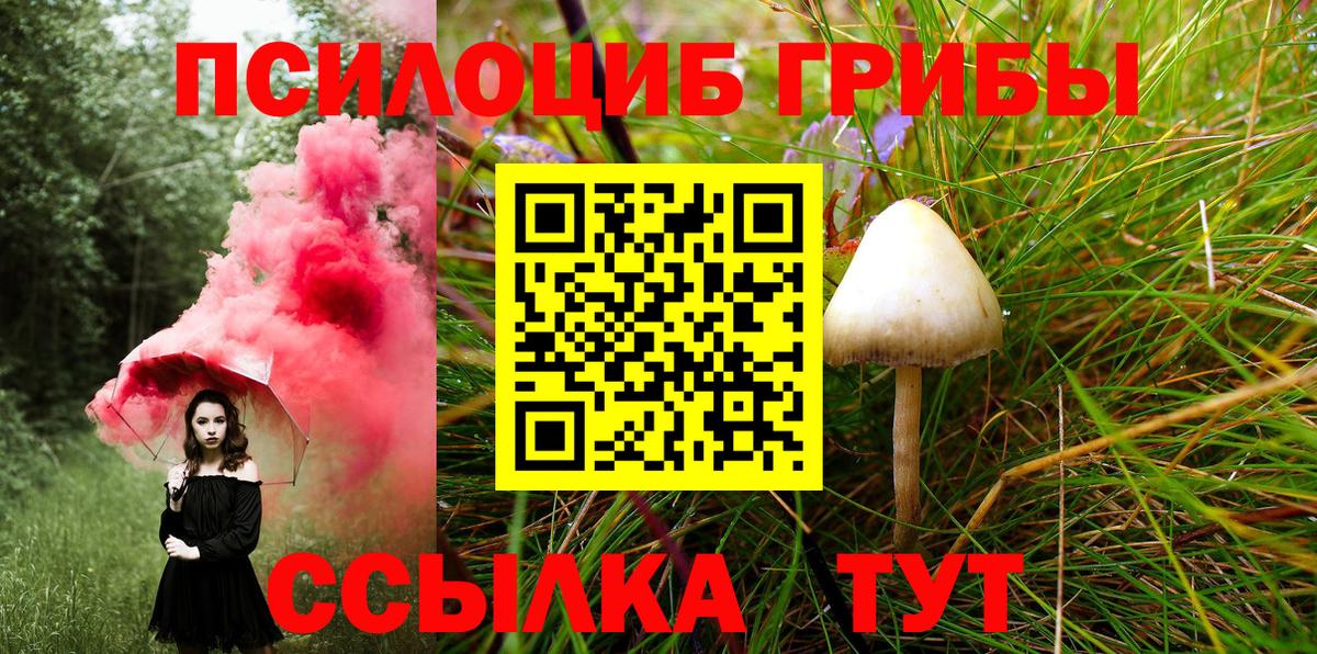Отрадное  магазин  наркотиков  Вход с VPN  Псилоцибиновые грибы Psilocybe 